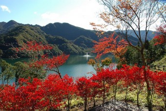 草木ダムの草木湖を一望できる