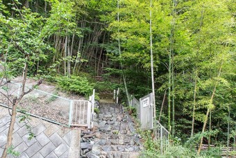 科学館と福寿庵の間からの遊歩道