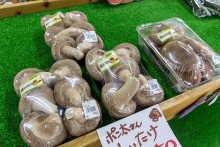 肉厚のしいたけ