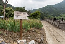 ドックランは駐車場から400mほど