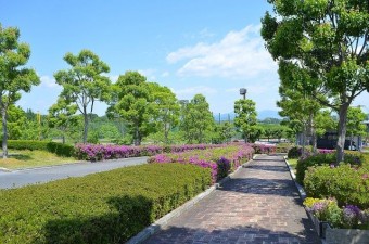 入口正面の風景