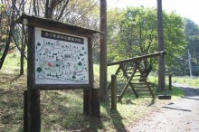 緑と山野草に溢れた公園。