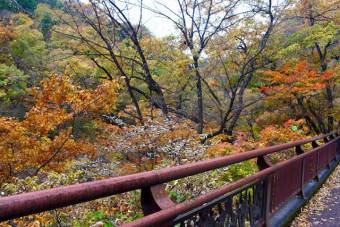 紅葉の見頃は例年10月下旬〜11月上旬