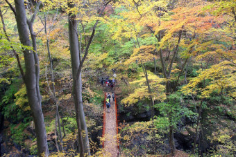 「鹿飛橋」からは吾妻川を間近で見ることができる