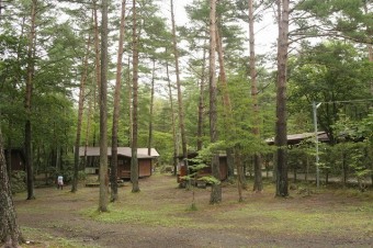 カラ松林の敷地は水はけがよい