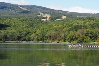 太公望たちも通う自然豊かなダム湖。