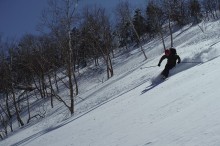 自然の雪山だからこそ味わえる。新雪の積る林間コース