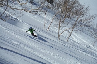 宿泊ありの上級ツアーなど、一度は行きたいプランがいっぱい