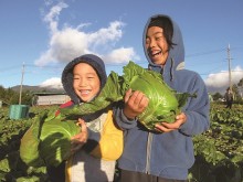 農産物の収穫体験も