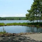 バラギ湖への流れ込みの脇にある釣り場。