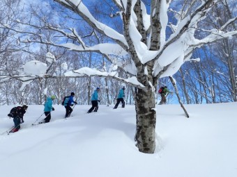 ふかふかのパウダースノーが広がる、白銀の世界へ。景色を満喫したいスノーシュー