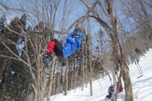 大自然のなかで遊ぼう！森でみつけたターザンロープで大興奮