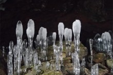 氷筍(ひょうじゅん)は冬の神秘。洞窟のつらら群に感動