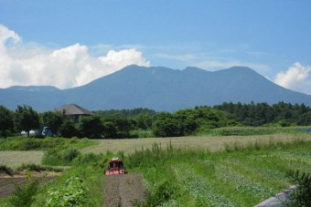 「北海道のような気候」といわれる嬬恋村。