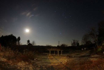 都会では見ることのできない満天の星空。