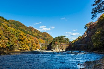 紅葉の見頃は例年10月下旬～11月上旬頃