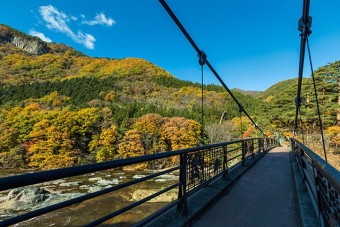 橋を渡り遊歩道を一周できる