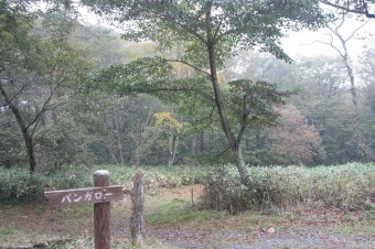 一周4kmほどの遊歩道。