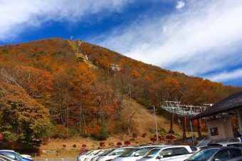 紅葉の見頃は例年10月下旬〜11月上旬頃