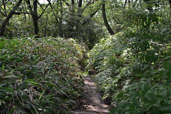 榛名富士登山道