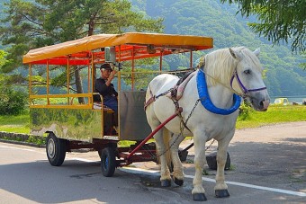 トテ馬車で湖周辺を散策！