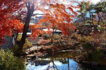 アルウィン公園の美しい庭と紅葉