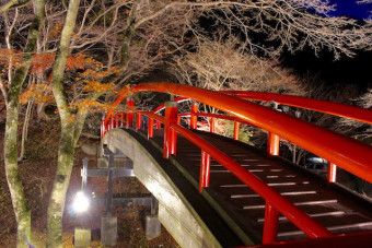 夜の河鹿橋はライトアップが行われる