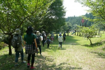 広々した芝生の「わんぱく広場」には、アスレチック遊具が。