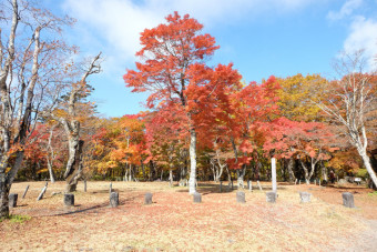 軽井沢に来た際にはぜひ足をお運びください