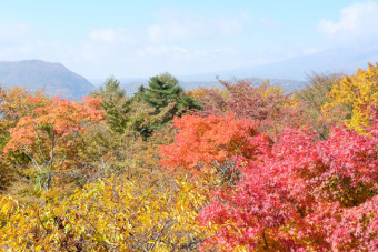 青空と紅葉のコントラストが美しい