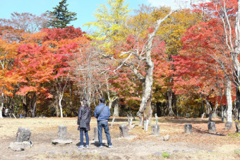 多くの観光客が訪れる人気の紅葉スポット