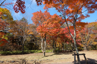 人気の撮影スポットになっているそうで結婚写真の撮影も行われている