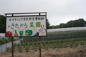 30種もの高原野菜が！　地場の品種なども栽培する