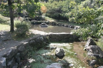 芝生広場横には水遊びができる池が。