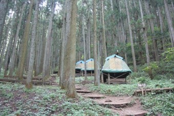 林間の常設テント。