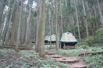 林間の常設テント。