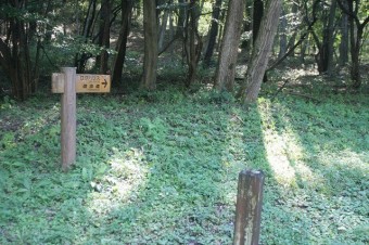 広大な敷地を巡る遊歩道が整う。