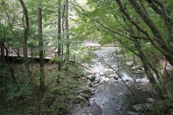 場内の渓流は川遊びに最適。