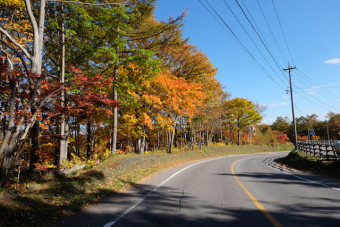 色数の多い美しい紅葉が満喫できる