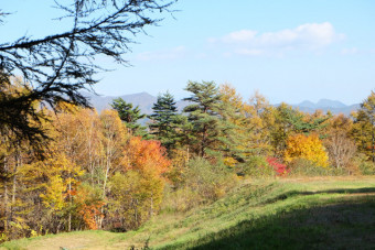 現在立入禁止区域もある草津白根山