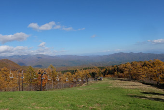 黄色に染まった山々を一望