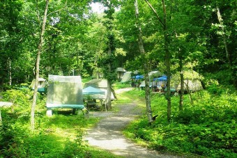 常設テントで手ぶらでキャンプ体験も。