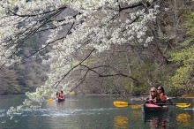 4月中旬より始まるカヌーツアー。赤谷湖や藤原湖のお花見カヌーでスタート