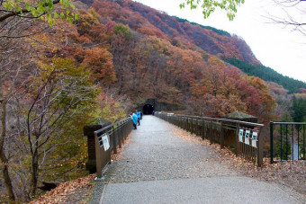 アプトの道と紅葉