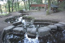 遊水池もあり。