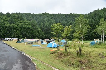 深い木々に囲まれたキャンプ場