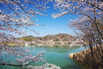 ｢大塩湖｣はボートに乗りながらお花見出来る