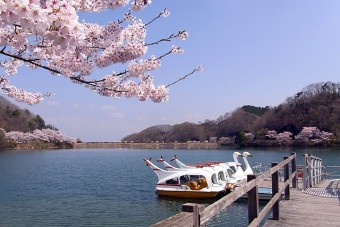 景観を楽しみながらボートクルージング