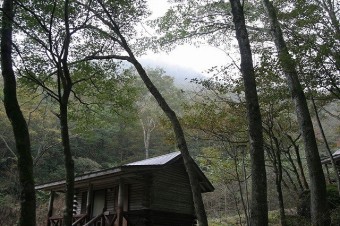 朝靄の中で気持ちの良い目覚めを！