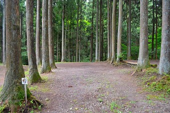 森林がで綺麗に仕切られています